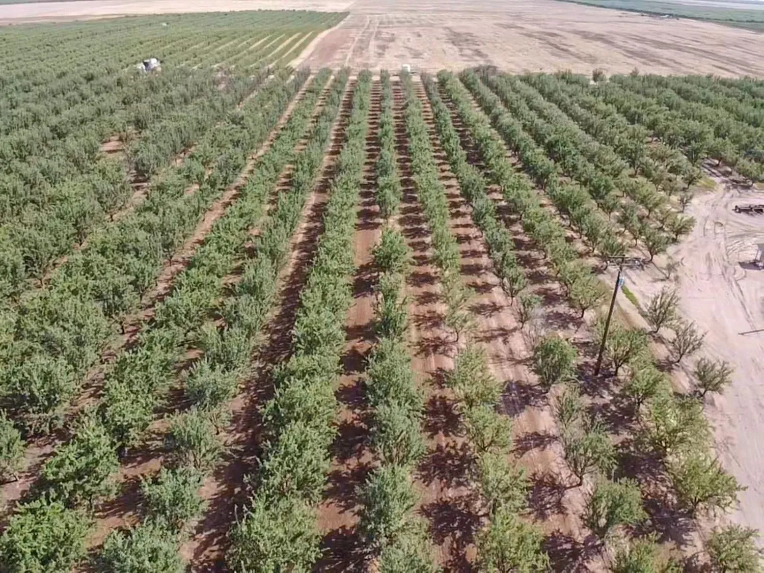 Le Grand, California 95333, United States, 4 Bedrooms Bedrooms, ,Residential,Active,104576