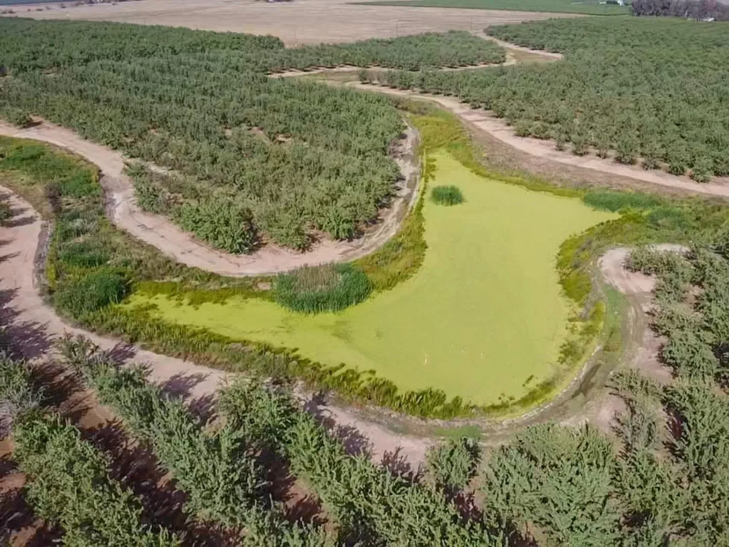 Le Grand, California 95333, United States, 4 Bedrooms Bedrooms, ,Residential,Active,104576