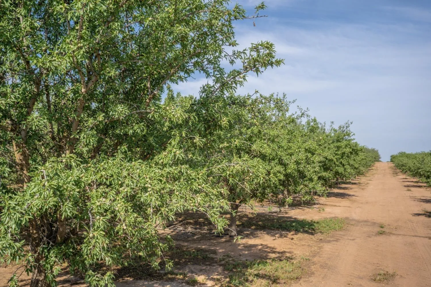 Le Grand, California 95333, United States, 4 Bedrooms Bedrooms, ,Residential,Active,104576