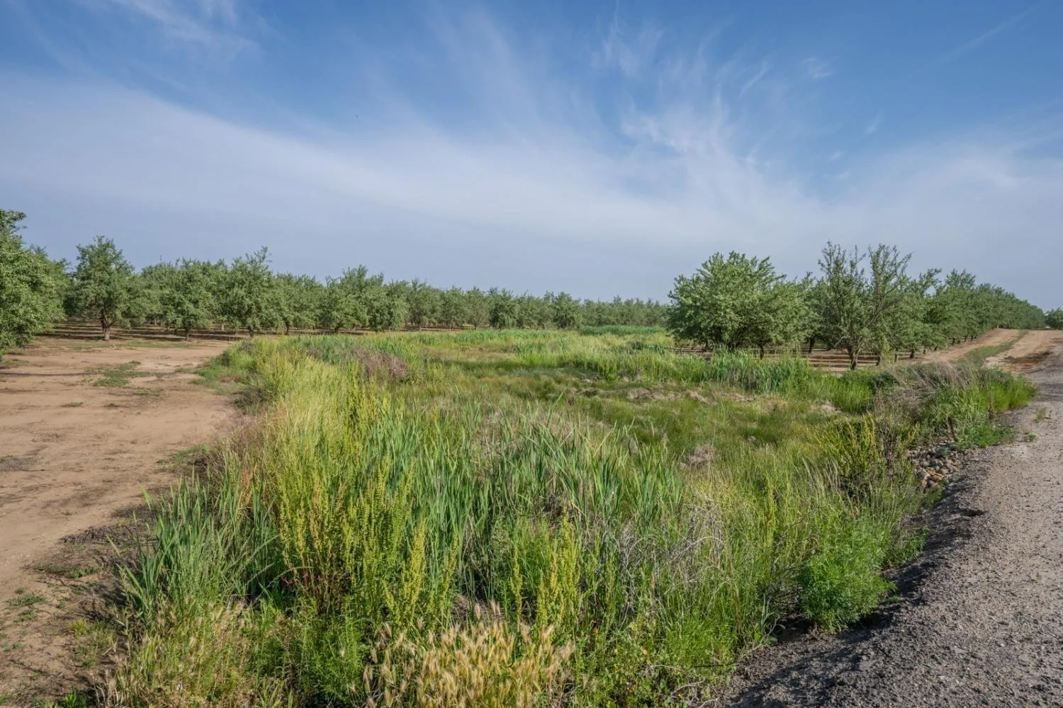 Le Grand, California 95333, United States, 4 Bedrooms Bedrooms, ,Residential,Active,104576