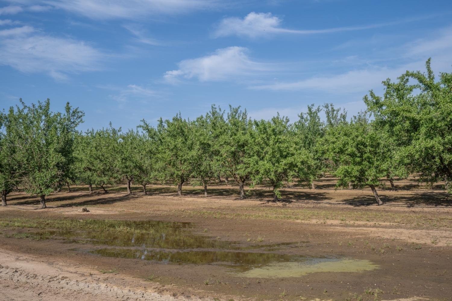 14155 Buchanan Hollow