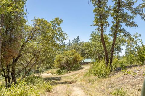 A home in Mariposa