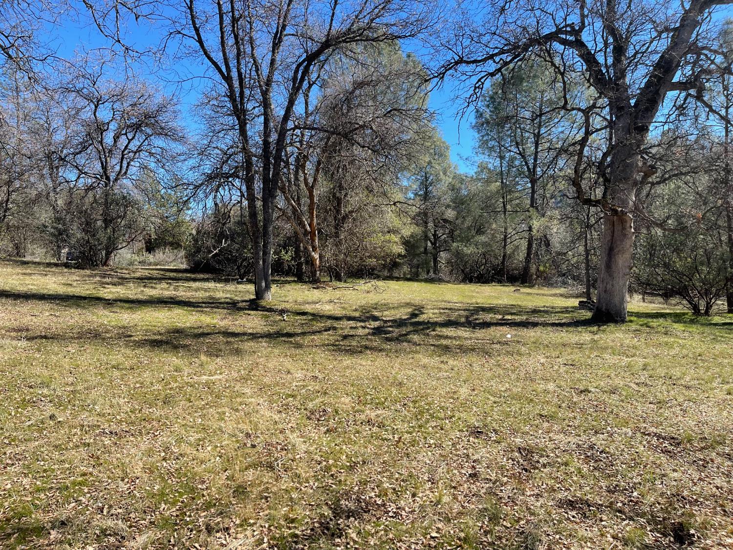 4 Fair Oaks Court - Photo 2