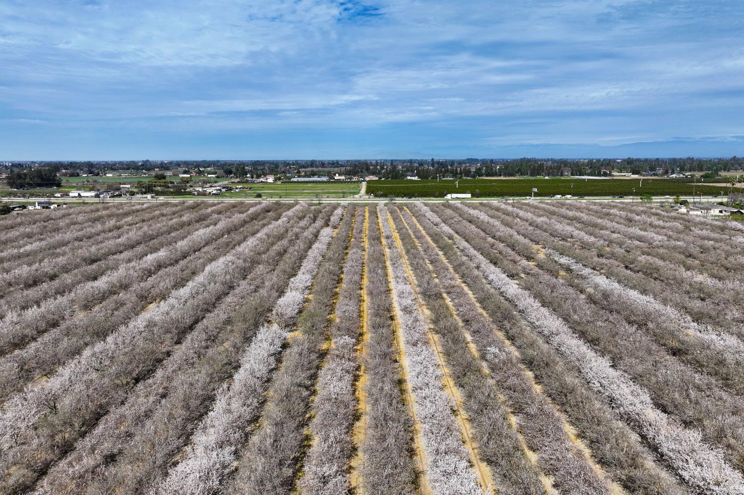 7581 E Kings Canyon Road