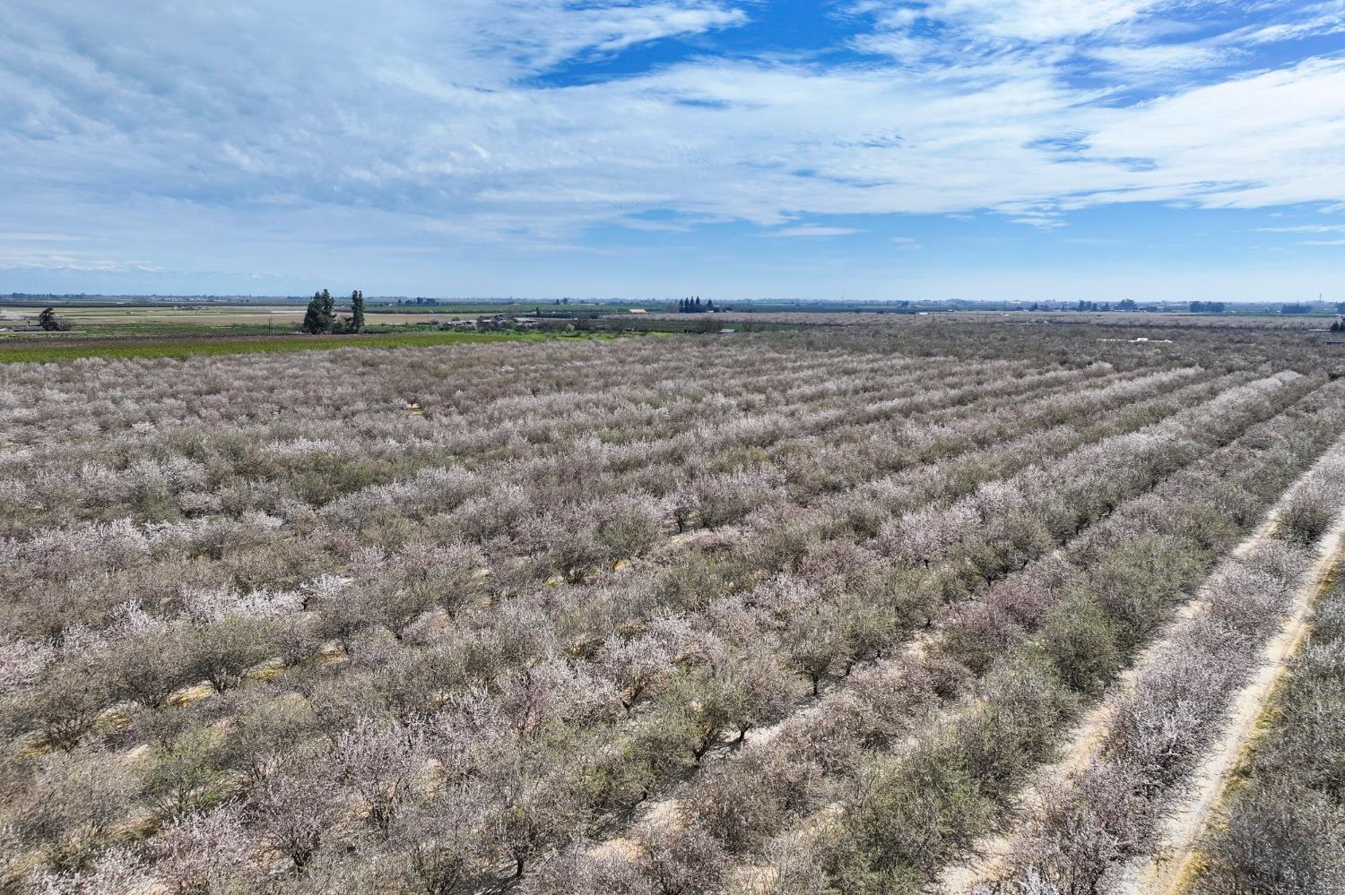 7581 E Kings Canyon Road