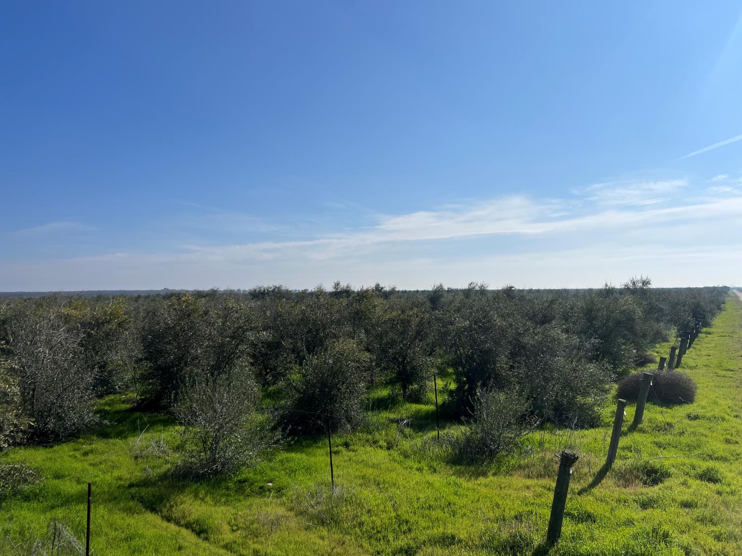 0 00 American Avenue W