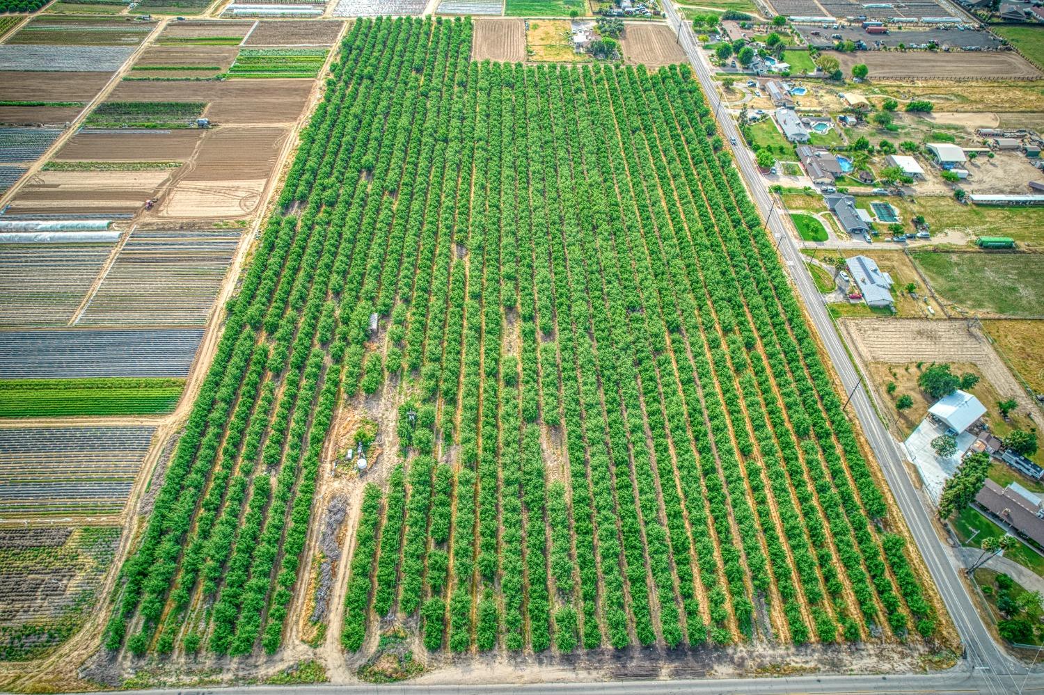 1581 S Temperance Avenue