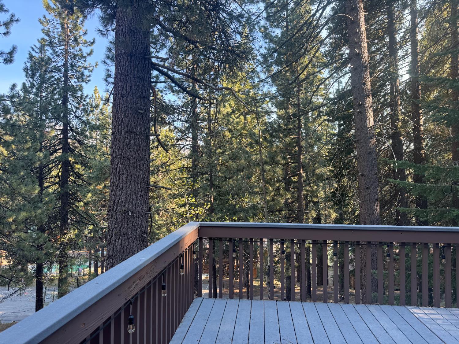 62758 Sunny Vista #25 - Photo 2