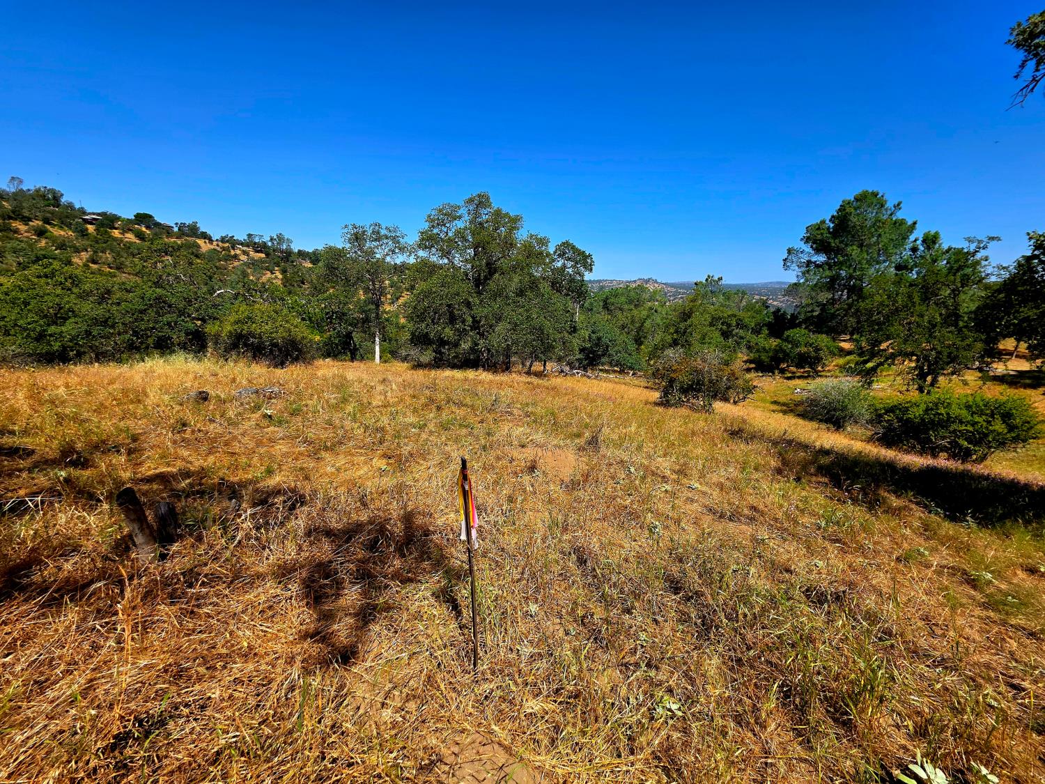 2 Corral Drive - Photo 2