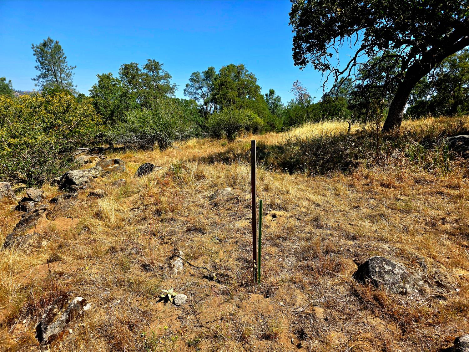 2 Corral Drive - Photo 4