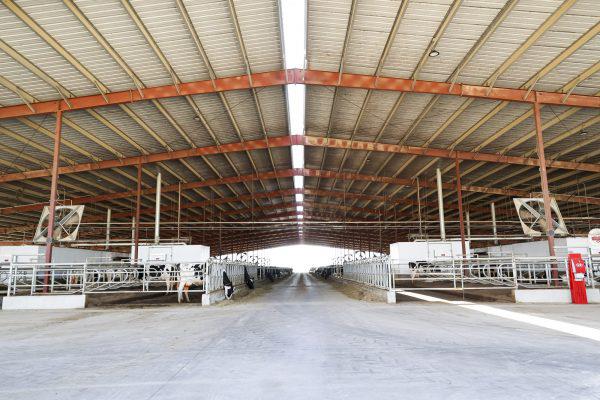 10255 W Manning Avenue