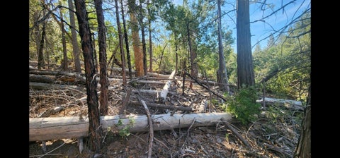 Featured picture for the property 604317