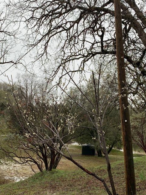 A home in Oakhurst