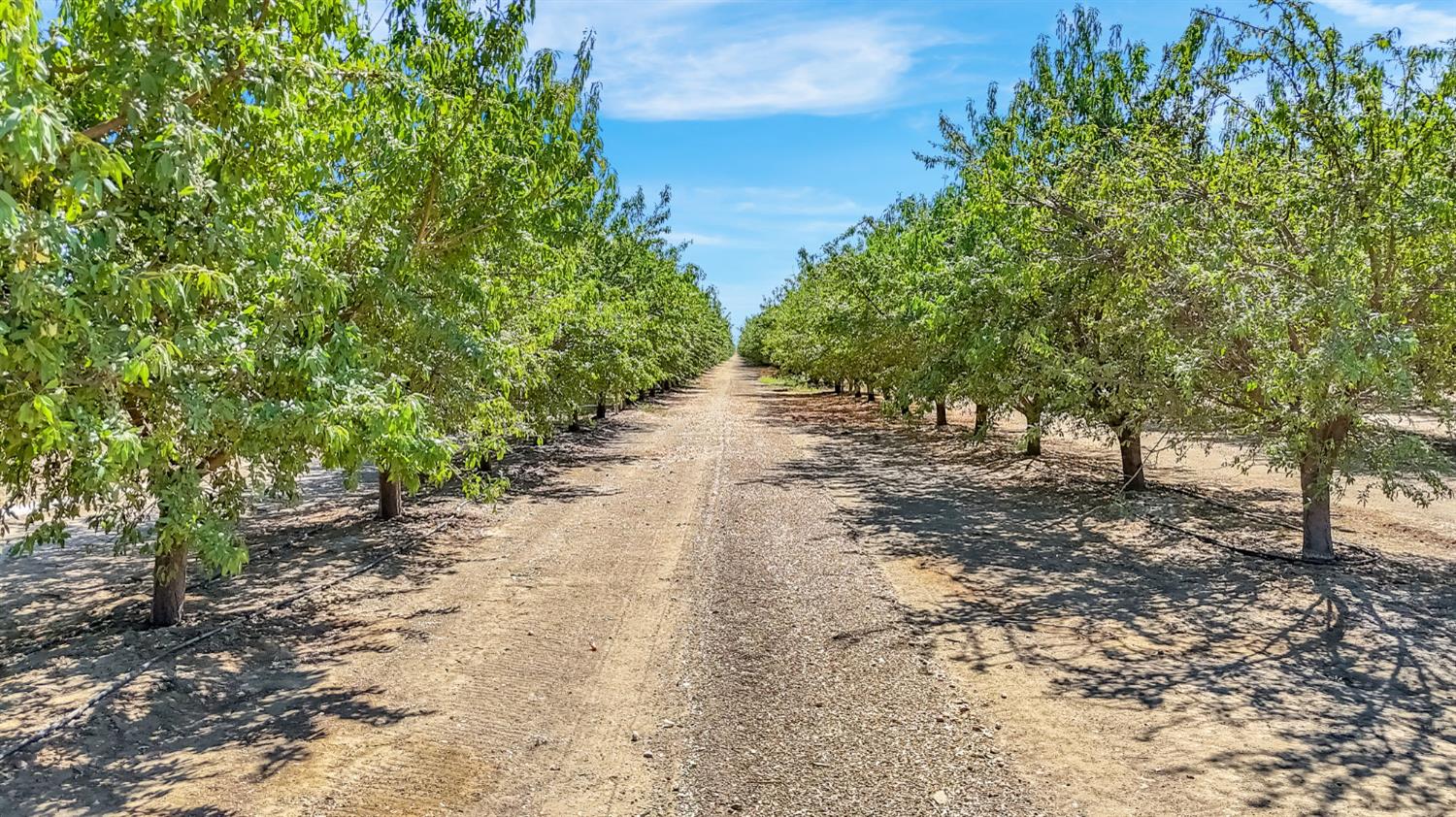 Photo 1 of 16 — 26457 W Oakland Avenue, Coalinga, CA 93210
