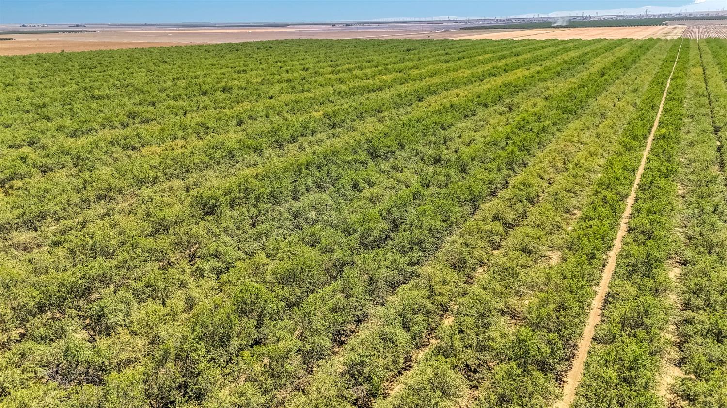 26457 W Oakland Avenue