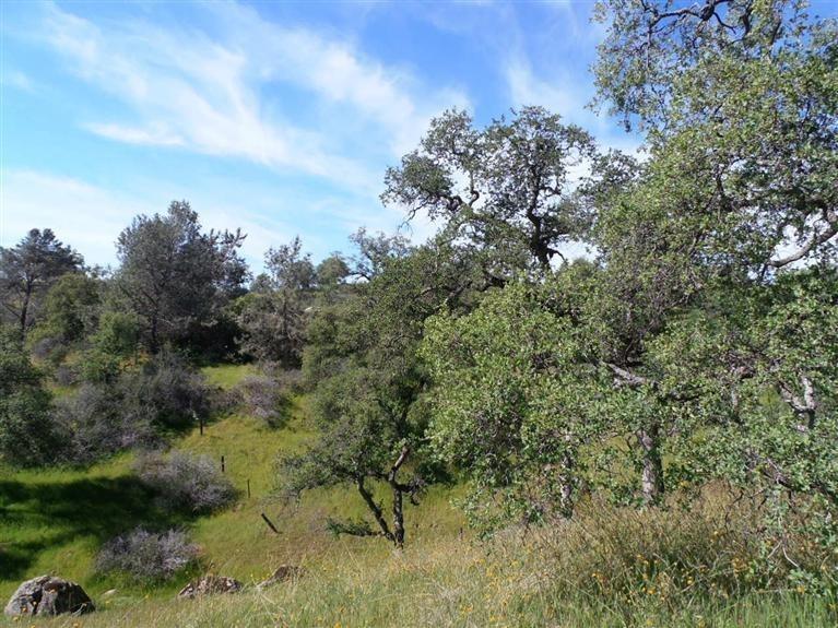 20148 Tollhouse Road - Photo 3