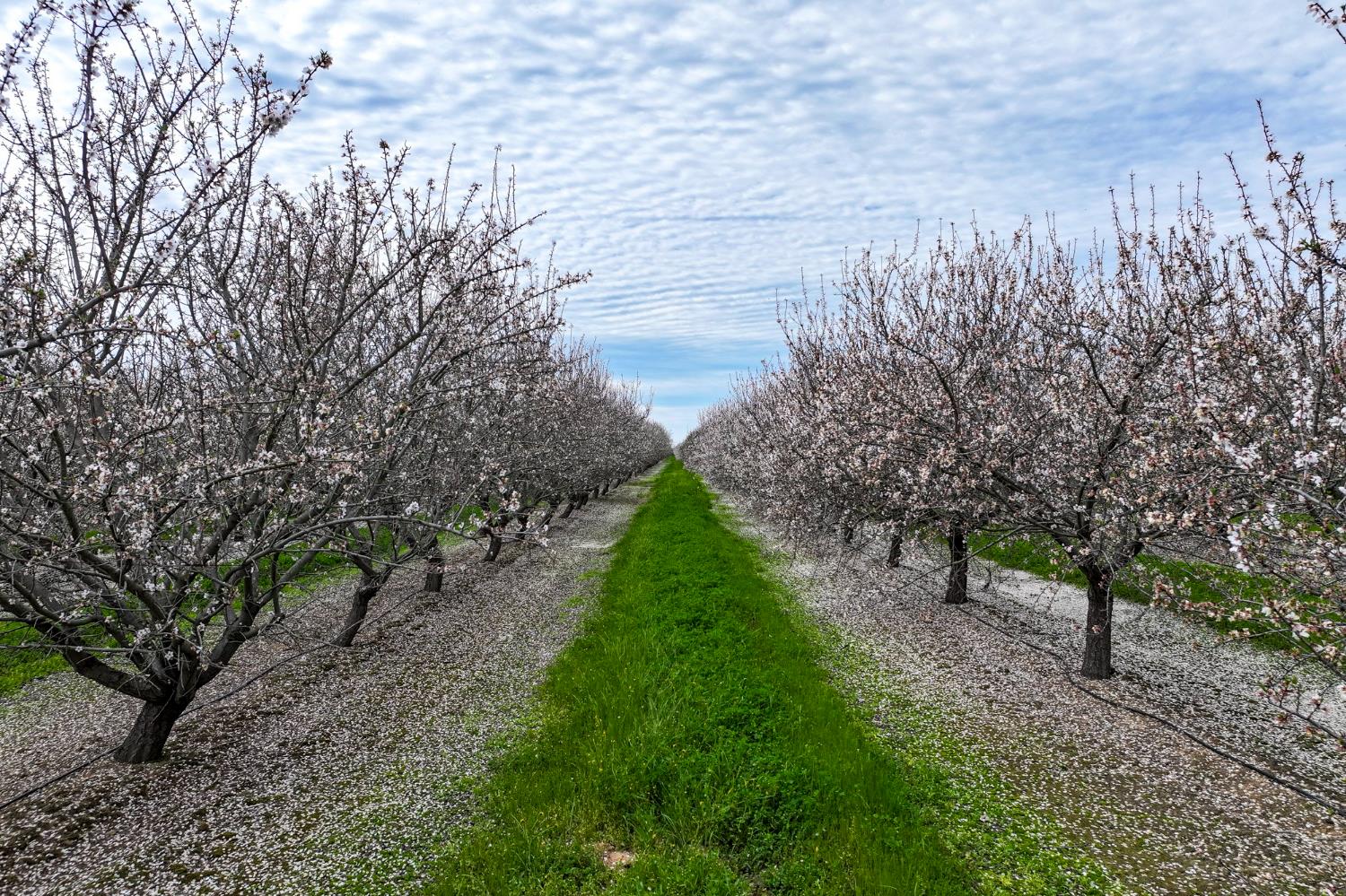 10847 E Belmont Avenue