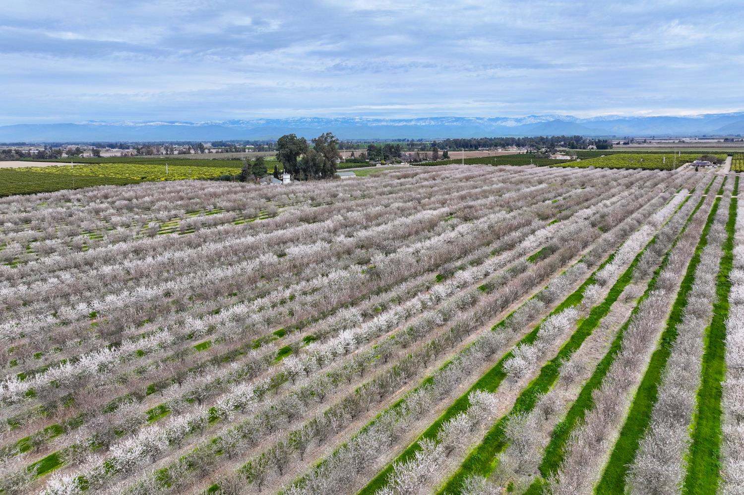 10847 E Belmont Avenue