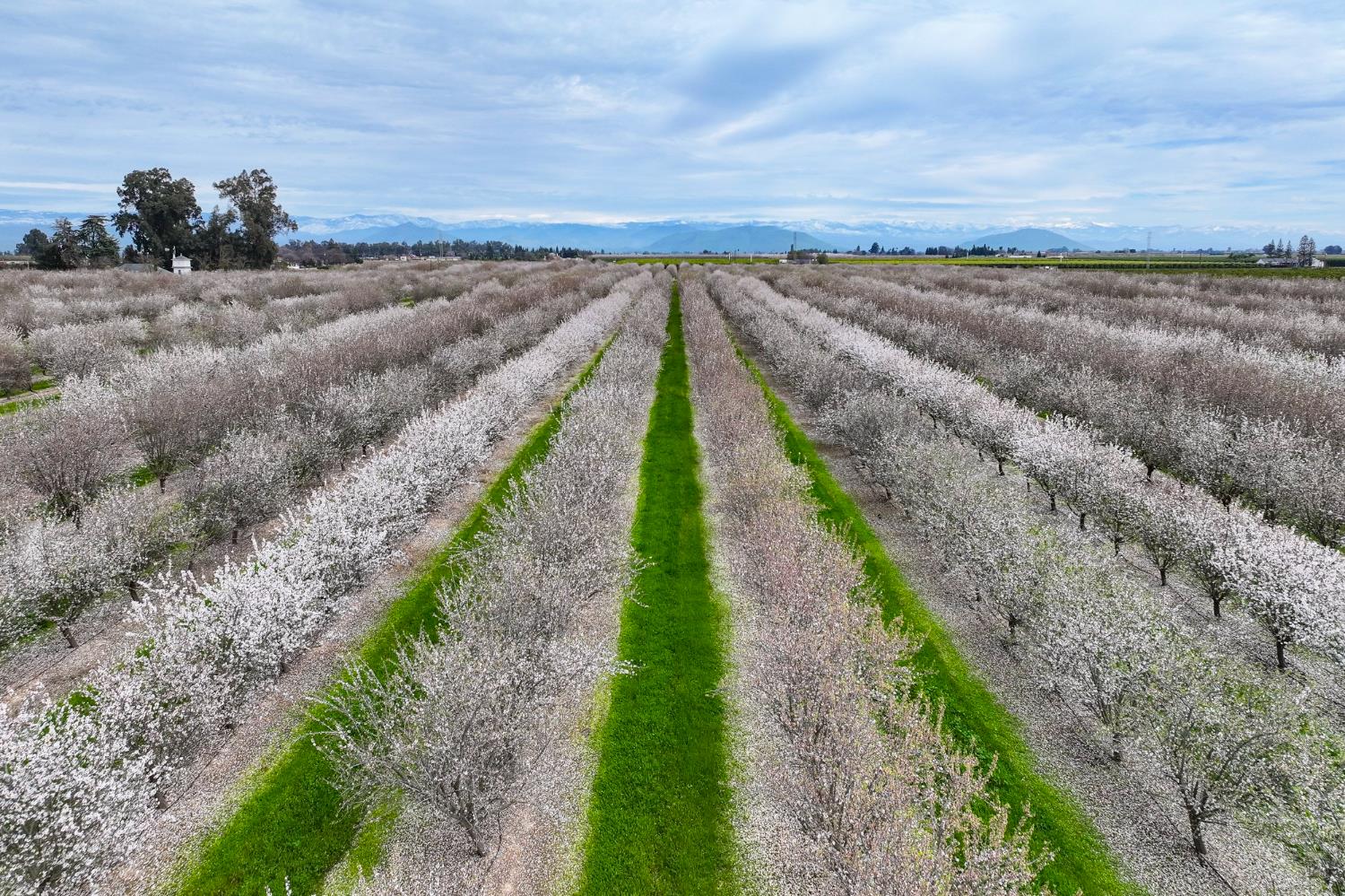 10847 E Belmont Avenue