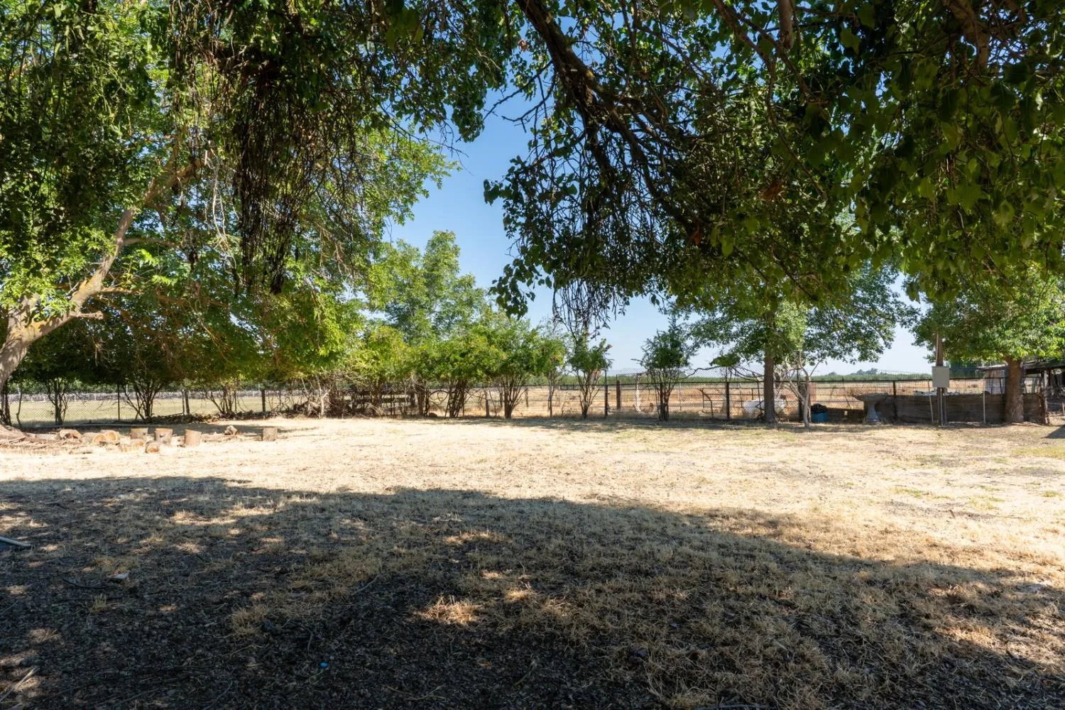 Dos Palos, California 93620, United States, 2 Bedrooms Bedrooms, ,2 BathroomsBathrooms,Residential,Active,170629