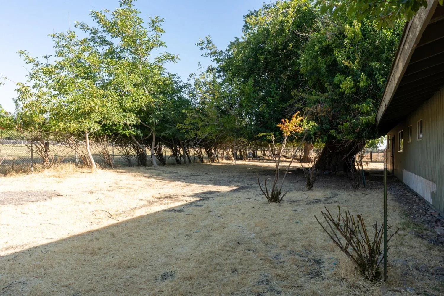 Dos Palos, California 93620, United States, 2 Bedrooms Bedrooms, ,2 BathroomsBathrooms,Residential,Active,170629