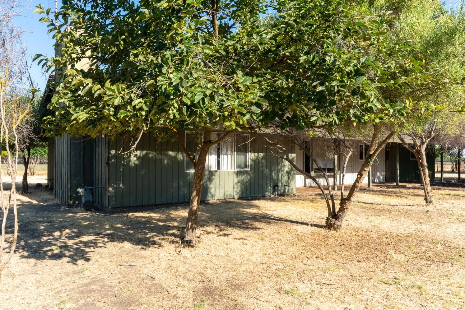 Dos Palos, California 93620, United States, 2 Bedrooms Bedrooms, ,2 BathroomsBathrooms,Residential,Active,170629