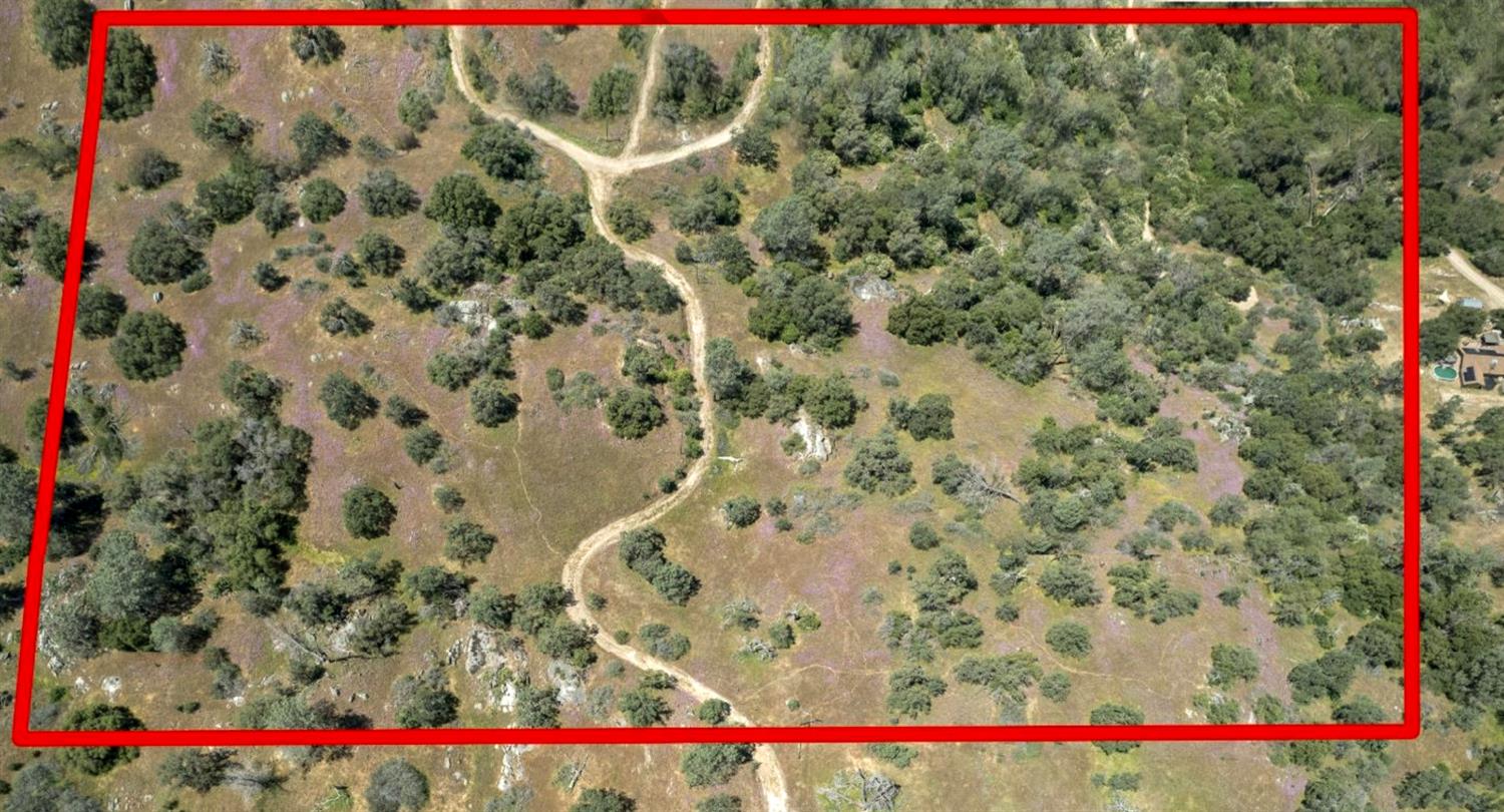 15 Pennyroyal - Photo 2