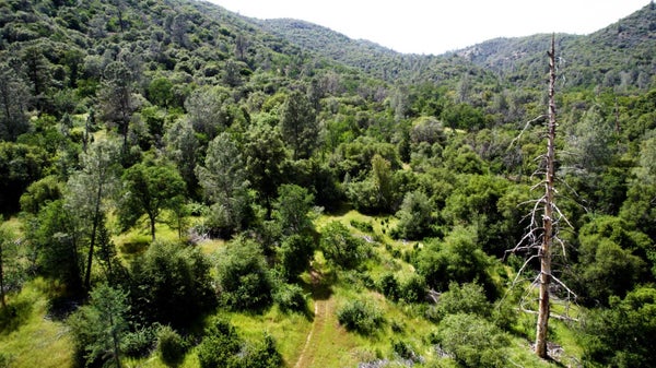 RD 200, O NEALS, CA 93645 - Image 604ab5b193c0c4e4e5374827dea6addd/482086779