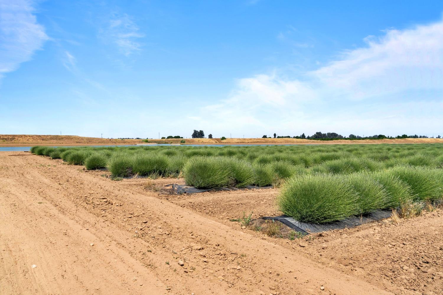 505 N Indianola Avenue