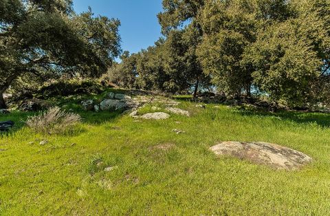 listing image 59