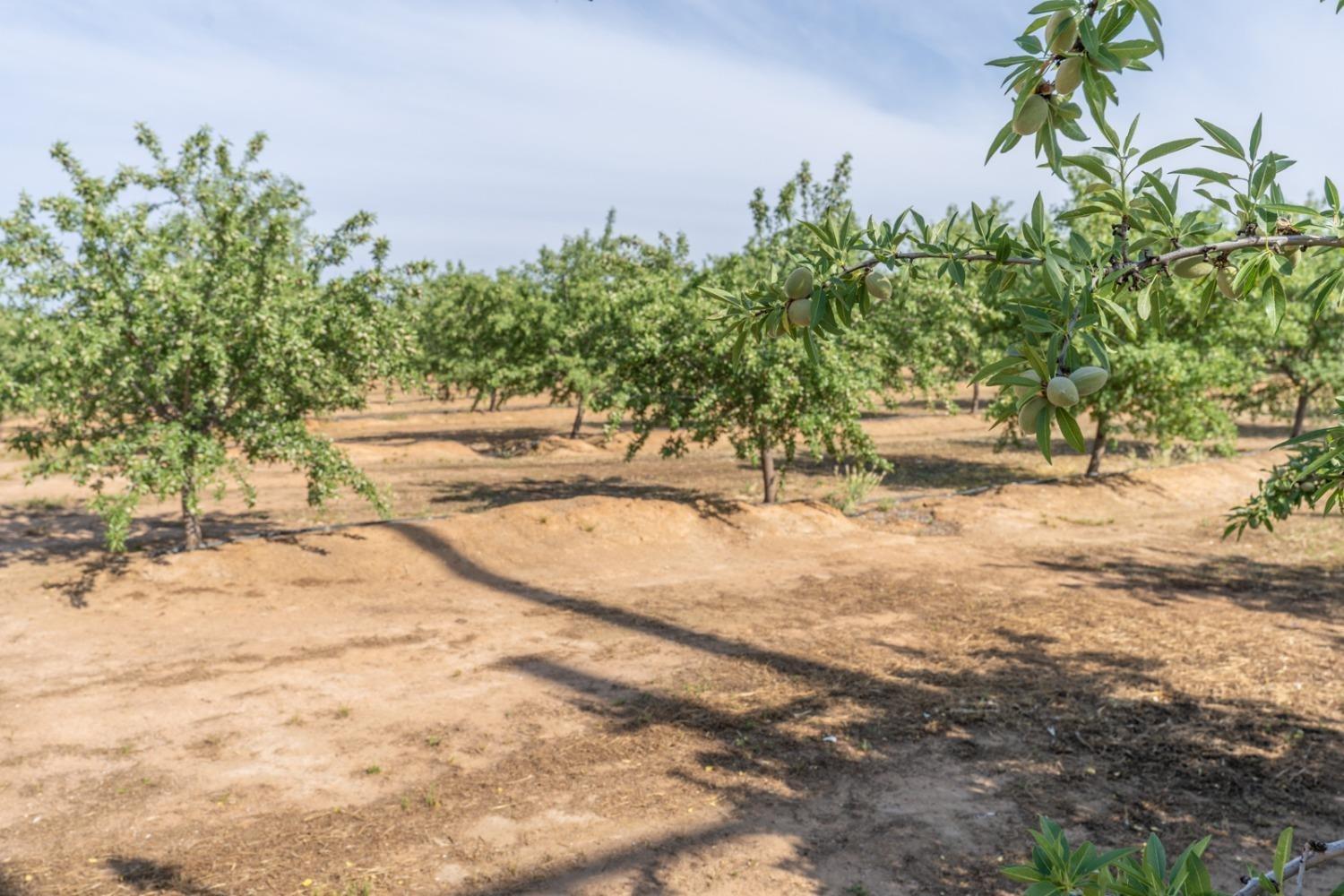 Le Grand, California 95333, United States, 4 Bedrooms Bedrooms, ,Residential,Active,73422