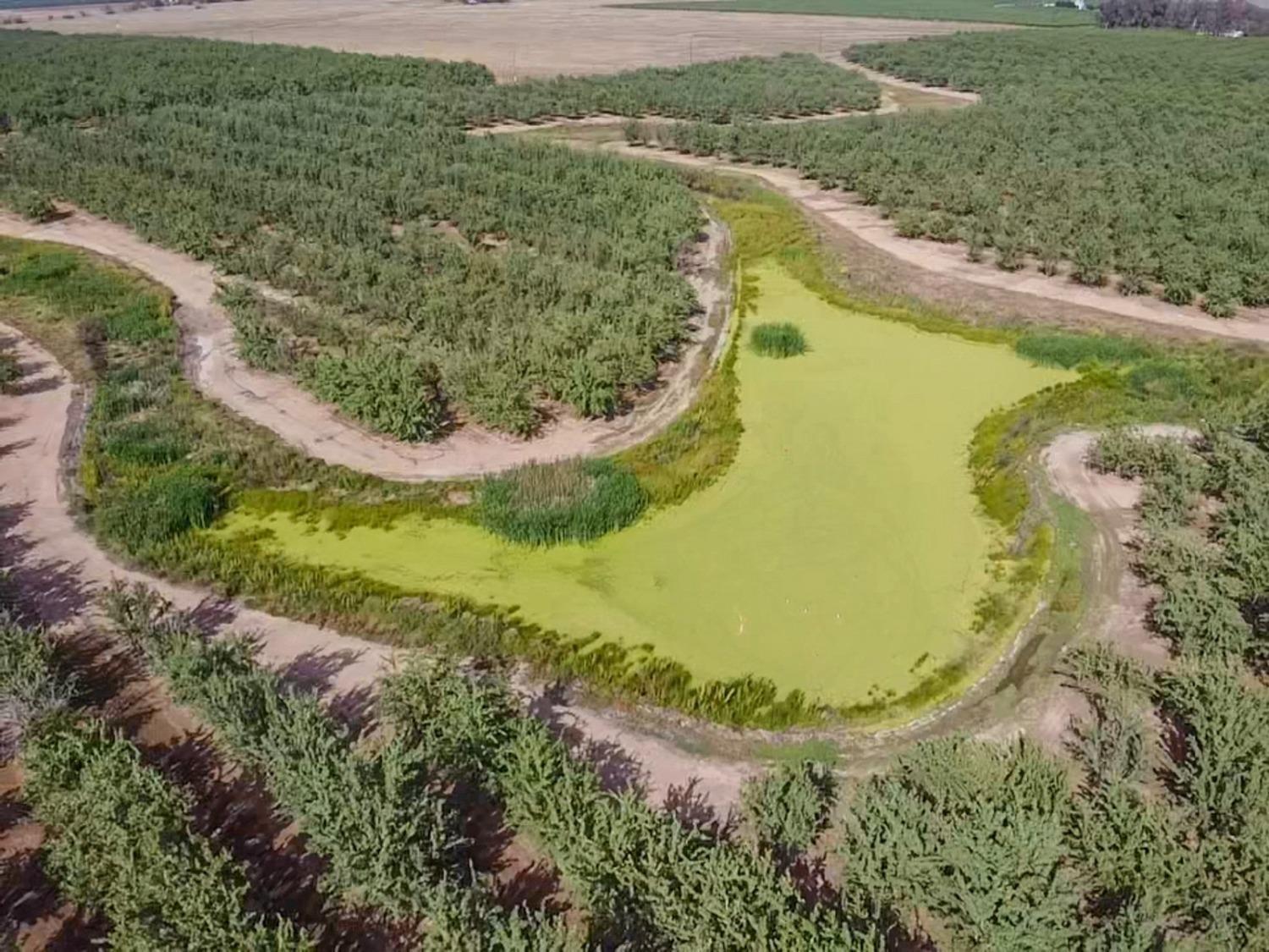 Le Grand, California 95333, United States, 4 Bedrooms Bedrooms, ,Residential,Active,73422