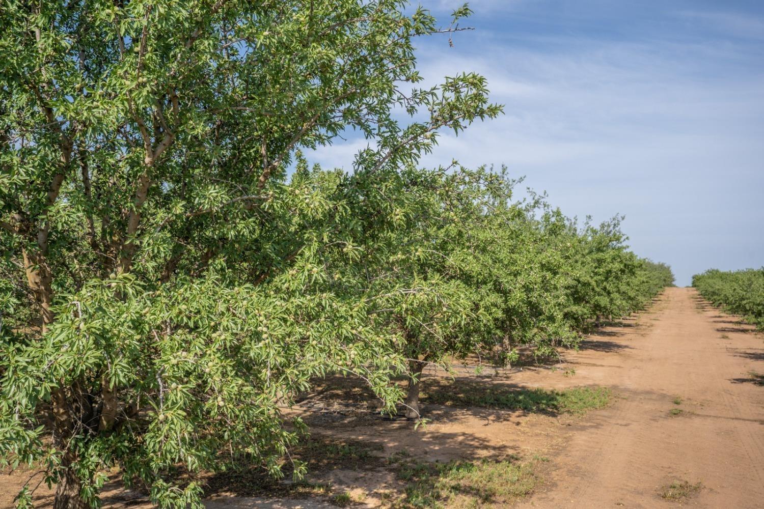 Le Grand, California 95333, United States, 4 Bedrooms Bedrooms, ,Residential,Active,73422