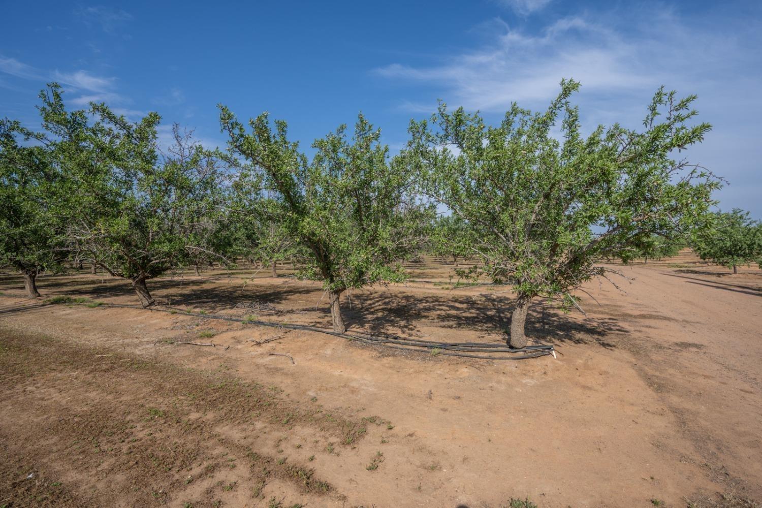 Le Grand, California 95333, United States, 4 Bedrooms Bedrooms, ,Residential,Active,73422