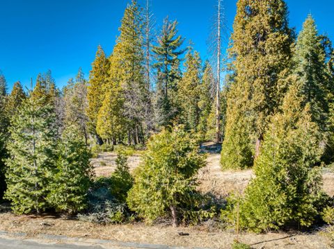 A home in Shaver Lake