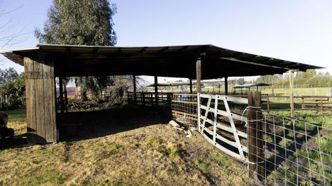 A home in Madera