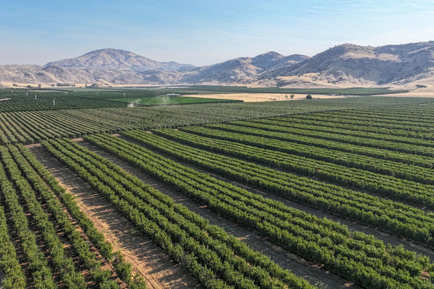 3905 S Hills Valley Road