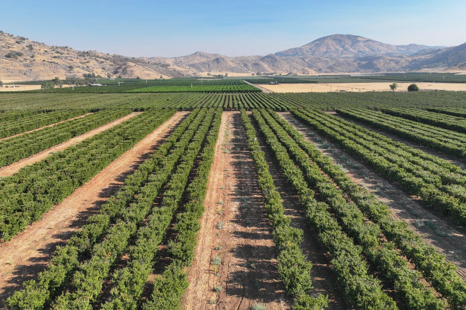 3905 S Hills Valley Road