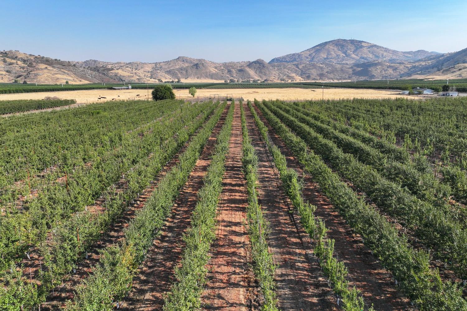 3905 S Hills Valley Road