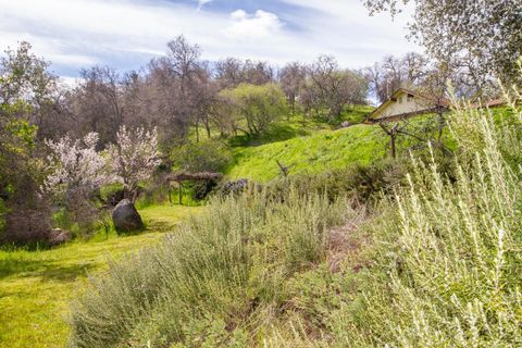 A home in Squaw Valley