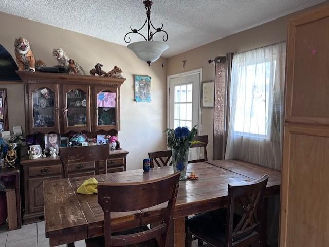57005 Antelope - Photo 4