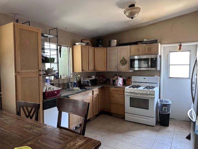 57005 Antelope - Photo 3