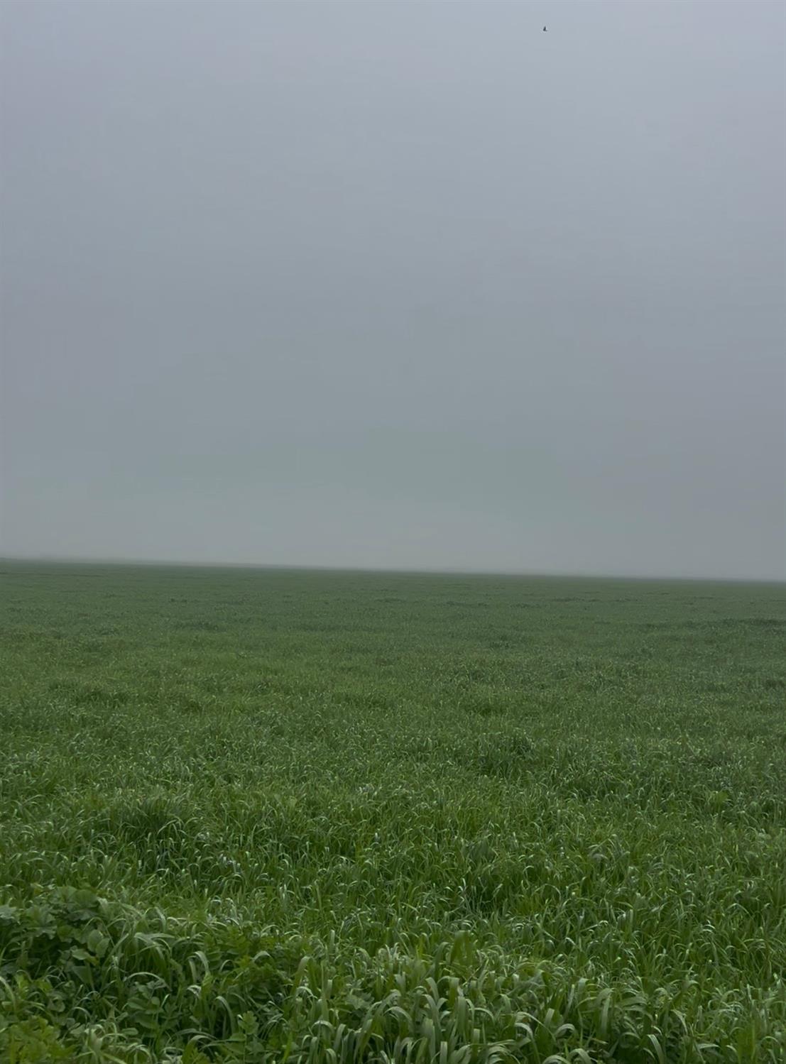 12010 E childs Avenue