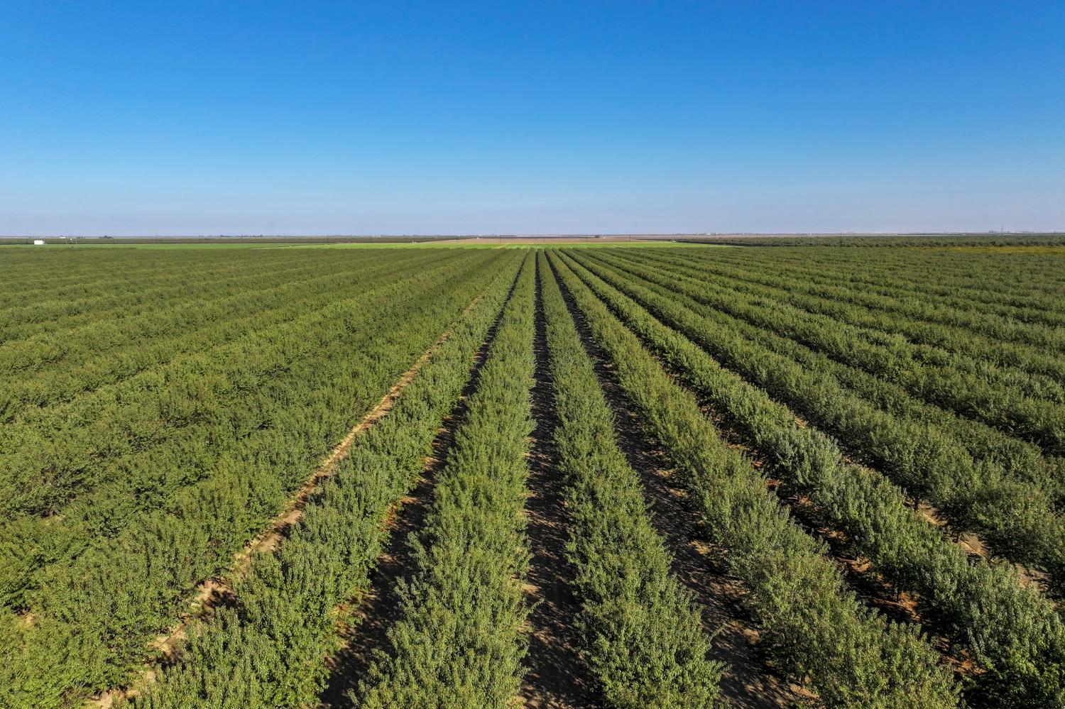 0 0 W Stutz extension