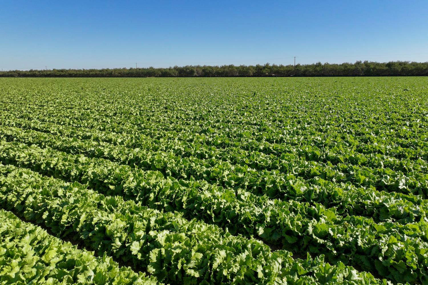 0 0 W Stutz extension