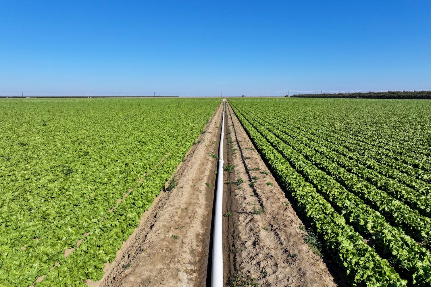 0 0 W Stutz extension