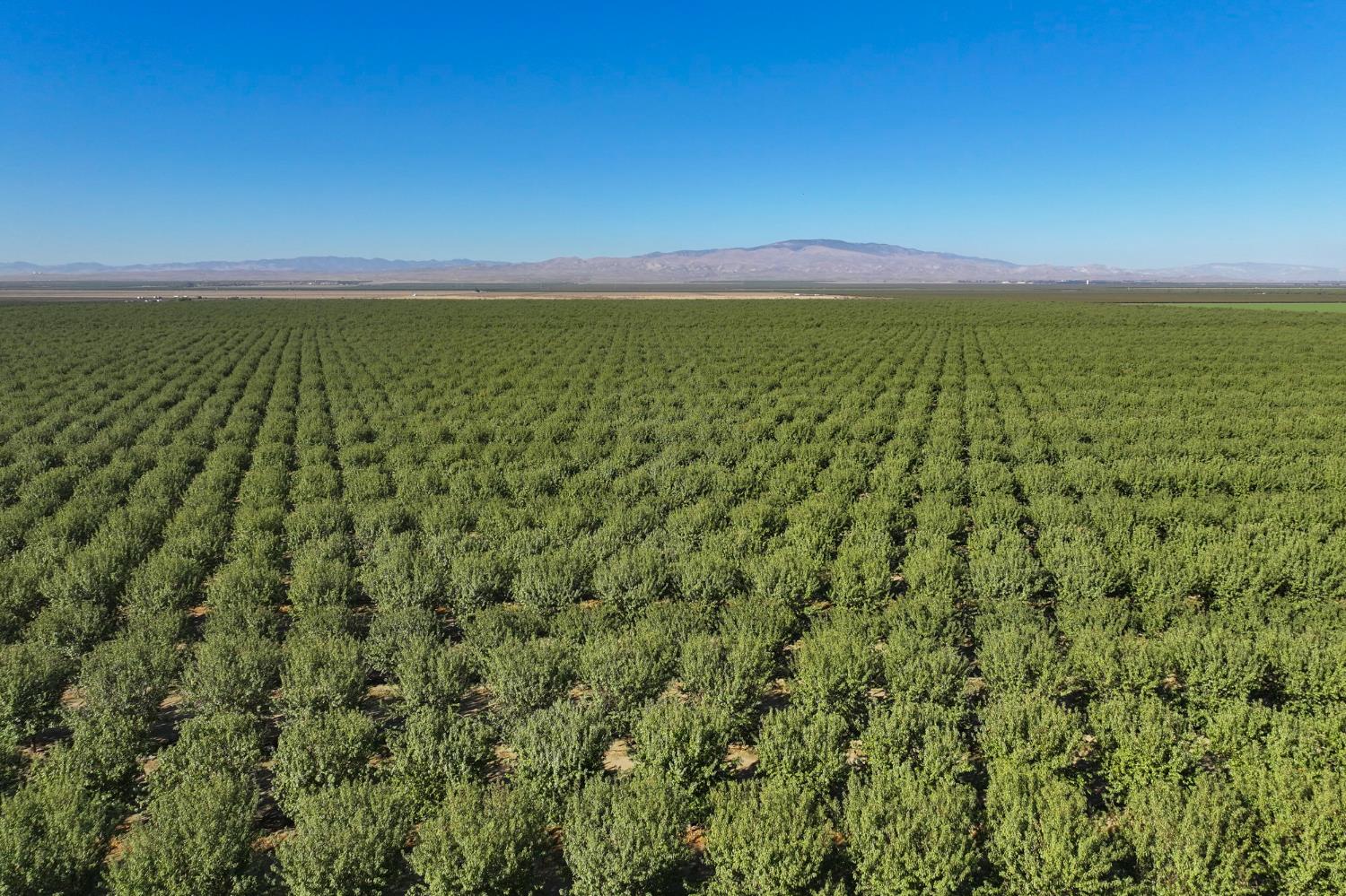 0 0 W Stutz extension