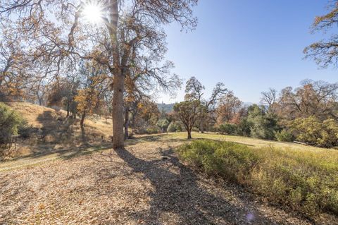 A home in Oakhurst