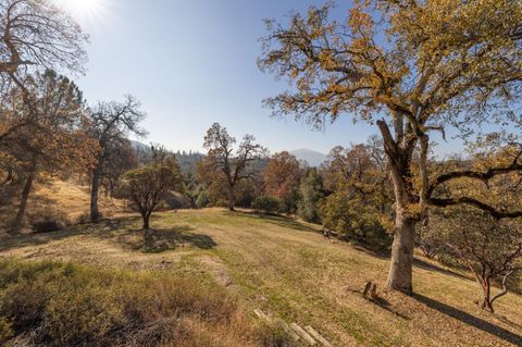 A home in Oakhurst