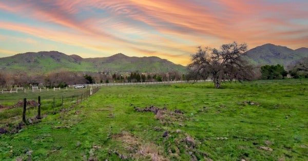 N ELWOOD RD, SANGER, CA 93657 - Image a3f4ab58b1a8dae1b97e238047fcf8eb/3314046568